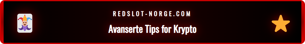 Infografikk med avanserte tips for trygg bruk av Redslot krypto-betalinger.