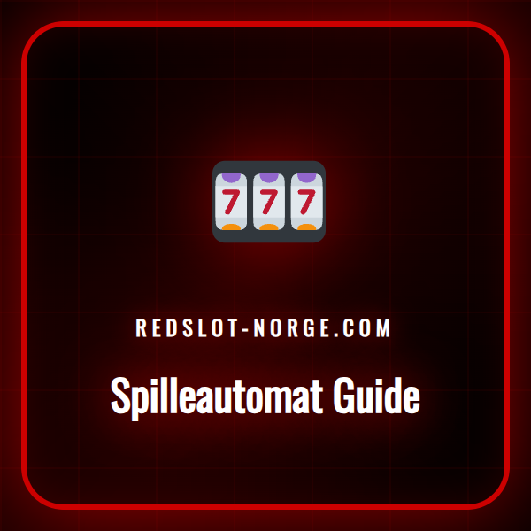 En detaljert infografikk som forklarer en spilleautomat guide.